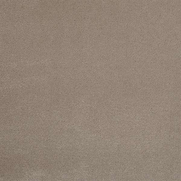 Masland Carpets Silk Touch Muffet Masland