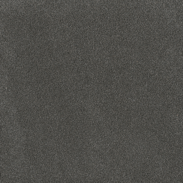 Dreamweaver Carpet Palmetto II Flint DREAMWEAVER