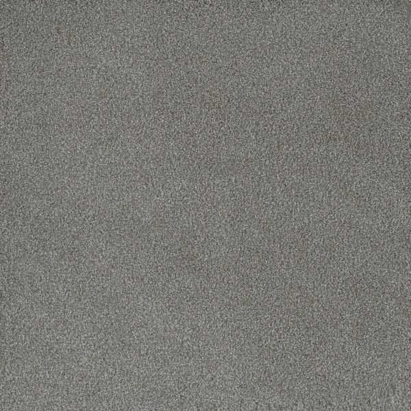 Dreamweaver Carpet Palmetto III Waterlily DREAMWEAVER