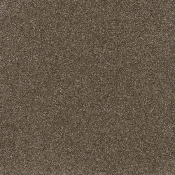 Dreamweaver Carpet Serene I Walnut Grove DREAMWEAVER