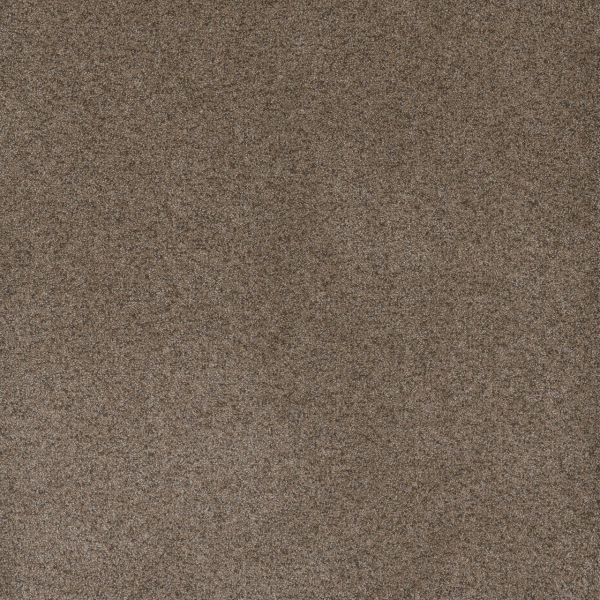Dreamweaver Carpet Serene I Shellbark DREAMWEAVER