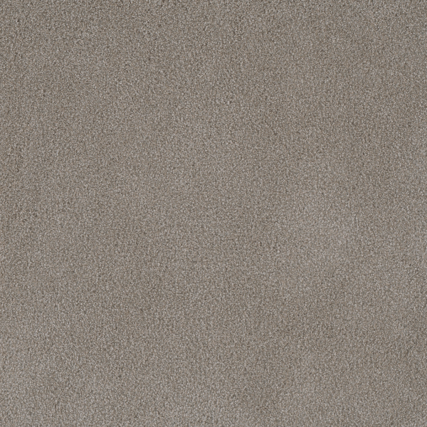 Dreamweaver Carpet Palmetto I Havana DREAMWEAVER