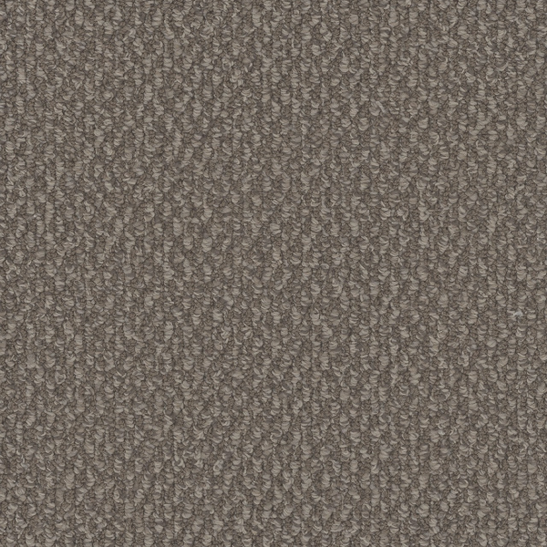 Dreamweaver Carpet Galactic Molasses DREAMWEAVER