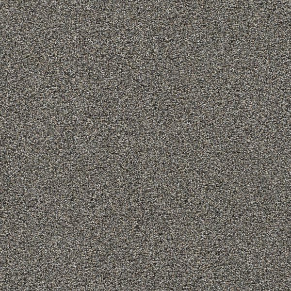 Dreamweaver Carpet Gold Standard III Graphite DREAMWEAVER