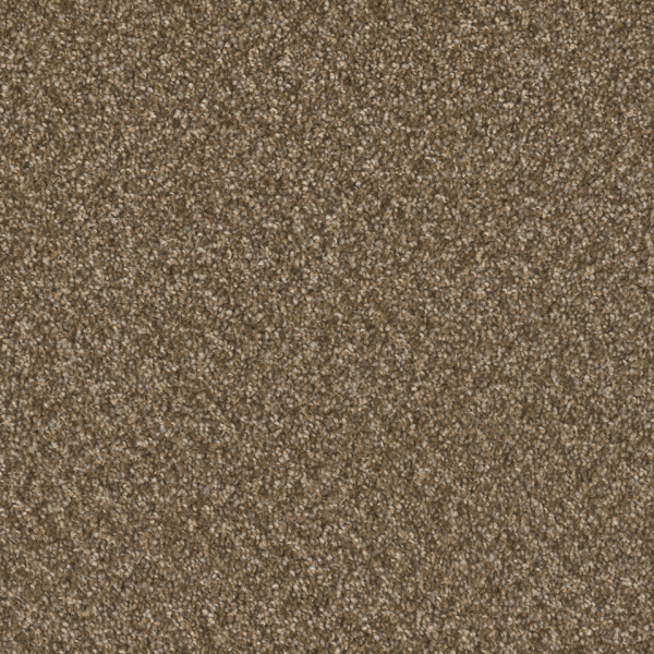 Dreamweaver Carpet Broadcast Plus Mocha Beige DREAMWEAVER