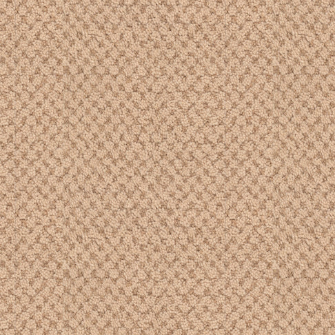 Masland Carpets La Parade Afterglow Masland