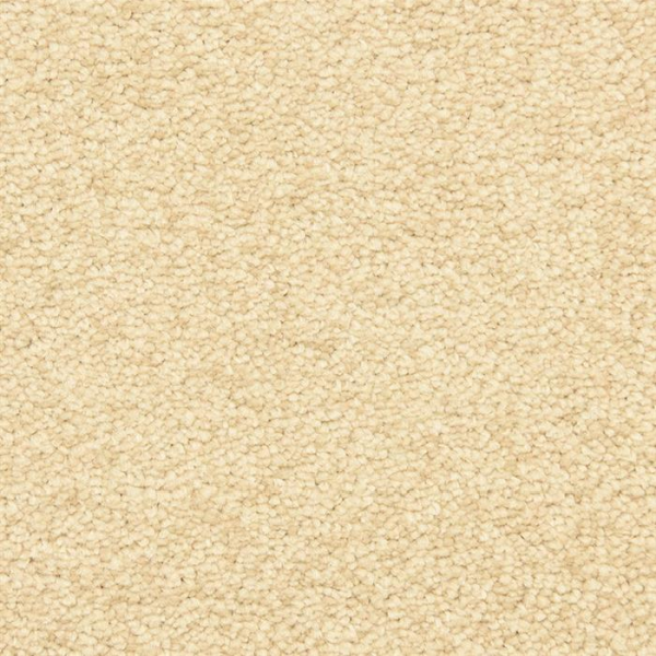 Masland Carpets Morgan Bay Brazil Nut Masland