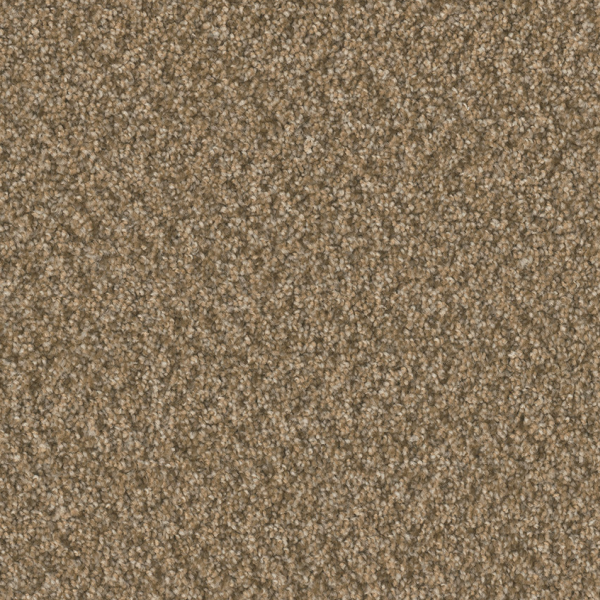 Dreamweaver Carpet Broadcast Plus Aged Leather DREAMWEAVER