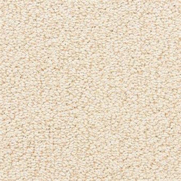 Masland Carpets Marina Del Mar Complexion Masland