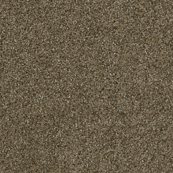 Dreamweaver Carpet Brazen II Brandywine DREAMWEAVER
