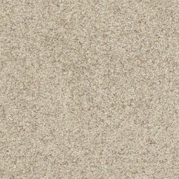 Masland Carpets Boca Raton True Masland