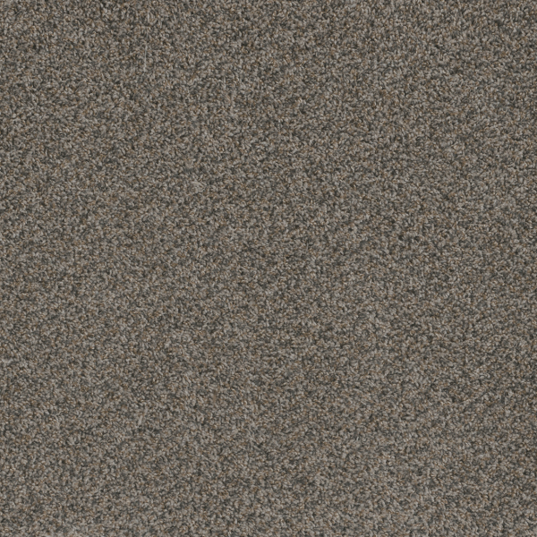 Dreamweaver Carpet Hot Pursuit Carbon Crystals DREAMWEAVER