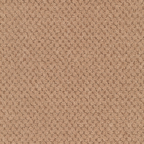 Masland Carpets La Parade Terra Cotta Masland