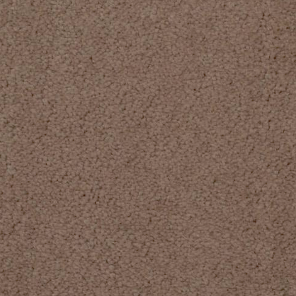 Dixie Home Touch of Velvet Cardamon