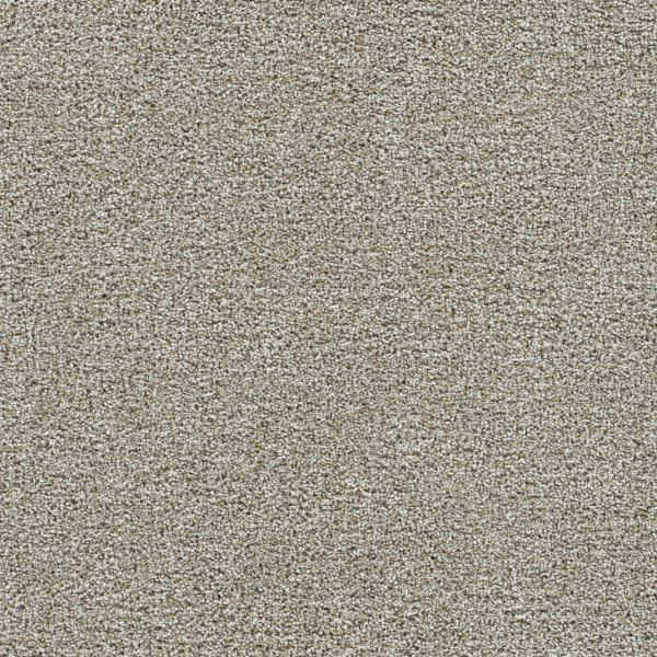 Dreamweaver Carpet Gold Standard II Alloy DREAMWEAVER