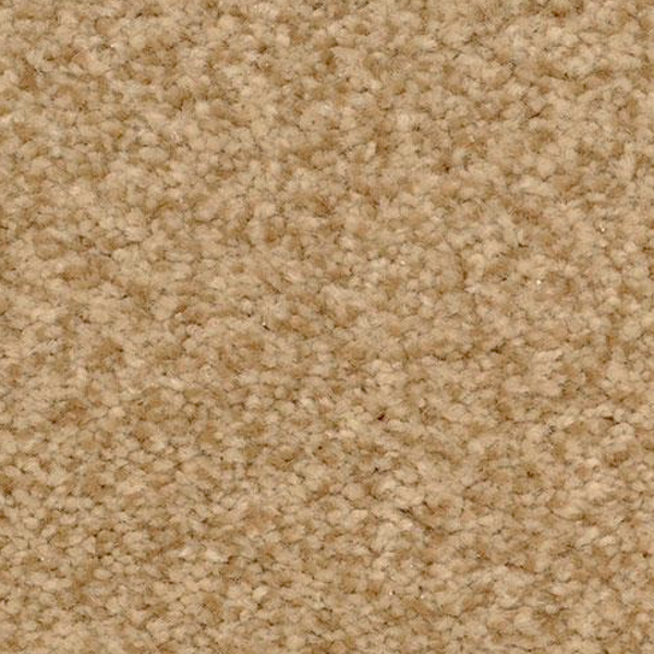 Dixie Home Semitones Cheetah