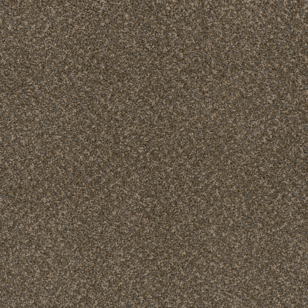 Dreamweaver Carpet Toast Of The Town Urbane DREAMWEAVER