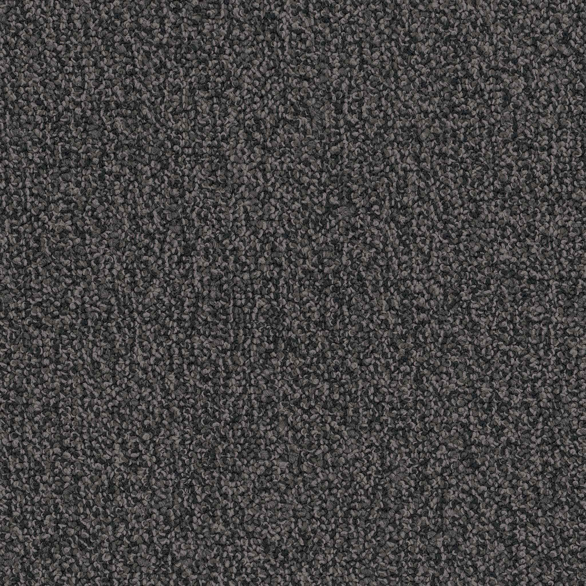 Pentz Commercial Chivalry 20 Gentleman ENGINEERED FLOORS