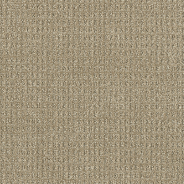 Dreamweaver Carpet Perfect Balance Papaya DREAMWEAVER