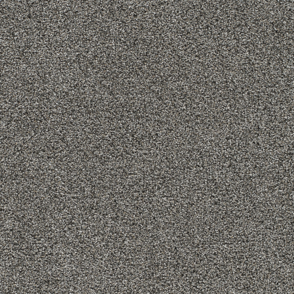 Dreamweaver Carpet Gold Standard II Benchmark DREAMWEAVER