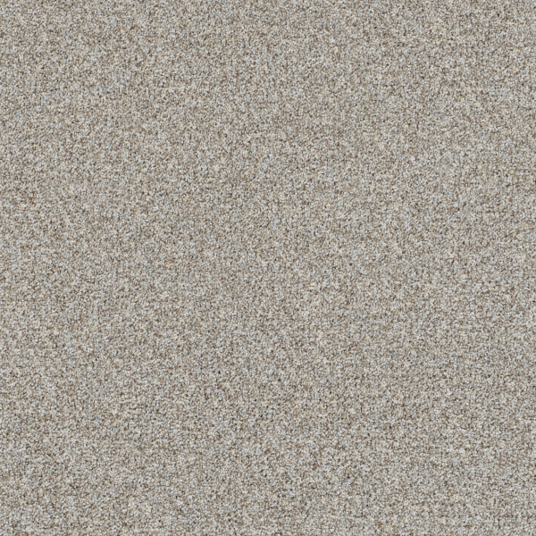 Dreamweaver Carpet Out of This World I Aurora DREAMWEAVER