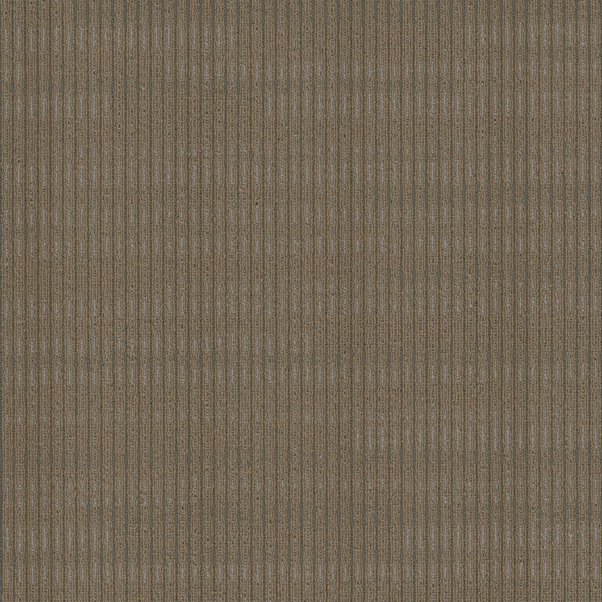 Pentz Commercial Sidewinder Camelback ENGINEERED FLOORS