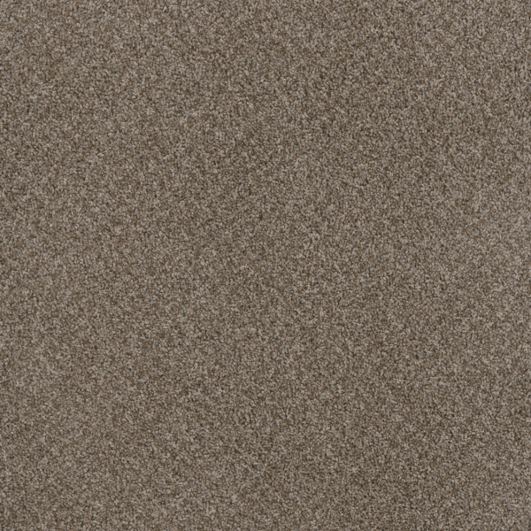 Dreamweaver Carpet Toast Of The Town English Stone DREAMWEAVER