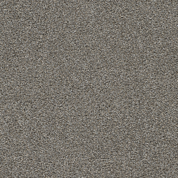 Dreamweaver Carpet Gold Standard I Topaz DREAMWEAVER
