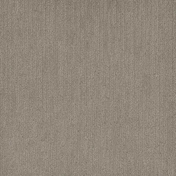 Dreamweaver Carpet Smooth Sailing Greige DREAMWEAVER