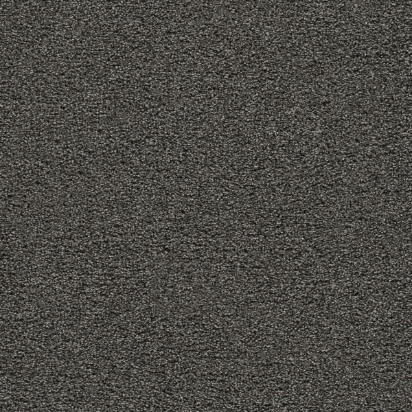 Dreamweaver Carpet Gold Standard III Onyx DREAMWEAVER
