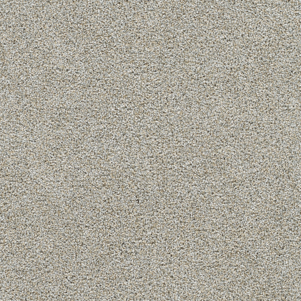 Dreamweaver Carpet Silver Lining II Cirrus DREAMWEAVER