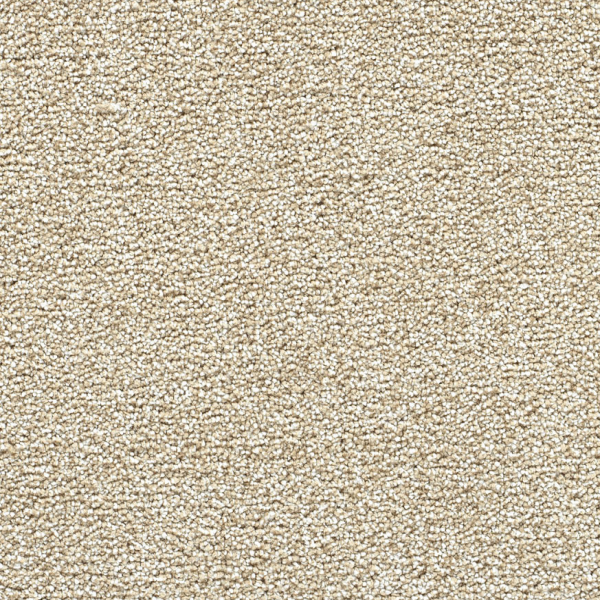 Dreamweaver Carpet Breakview II Coconut Shell DREAMWEAVER