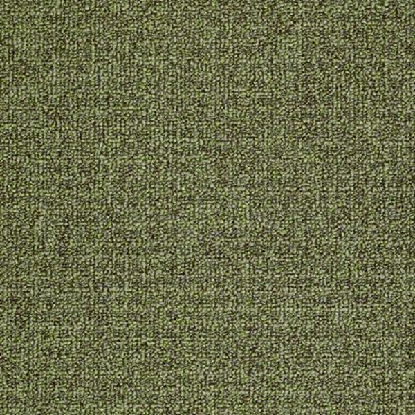 Philadelphia Commercial Casual Boucle Fernwood Shaw