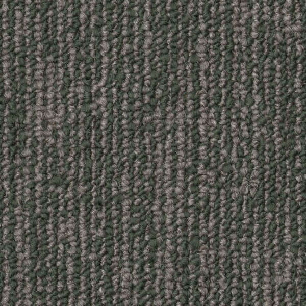 Shaw Floors Engrain Primitive SHAW
