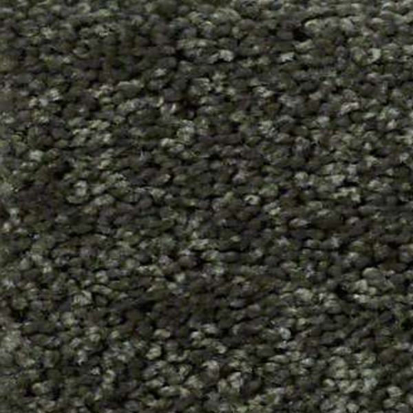 Shaw Floors Fielders Choice 15 Hedges SHAW