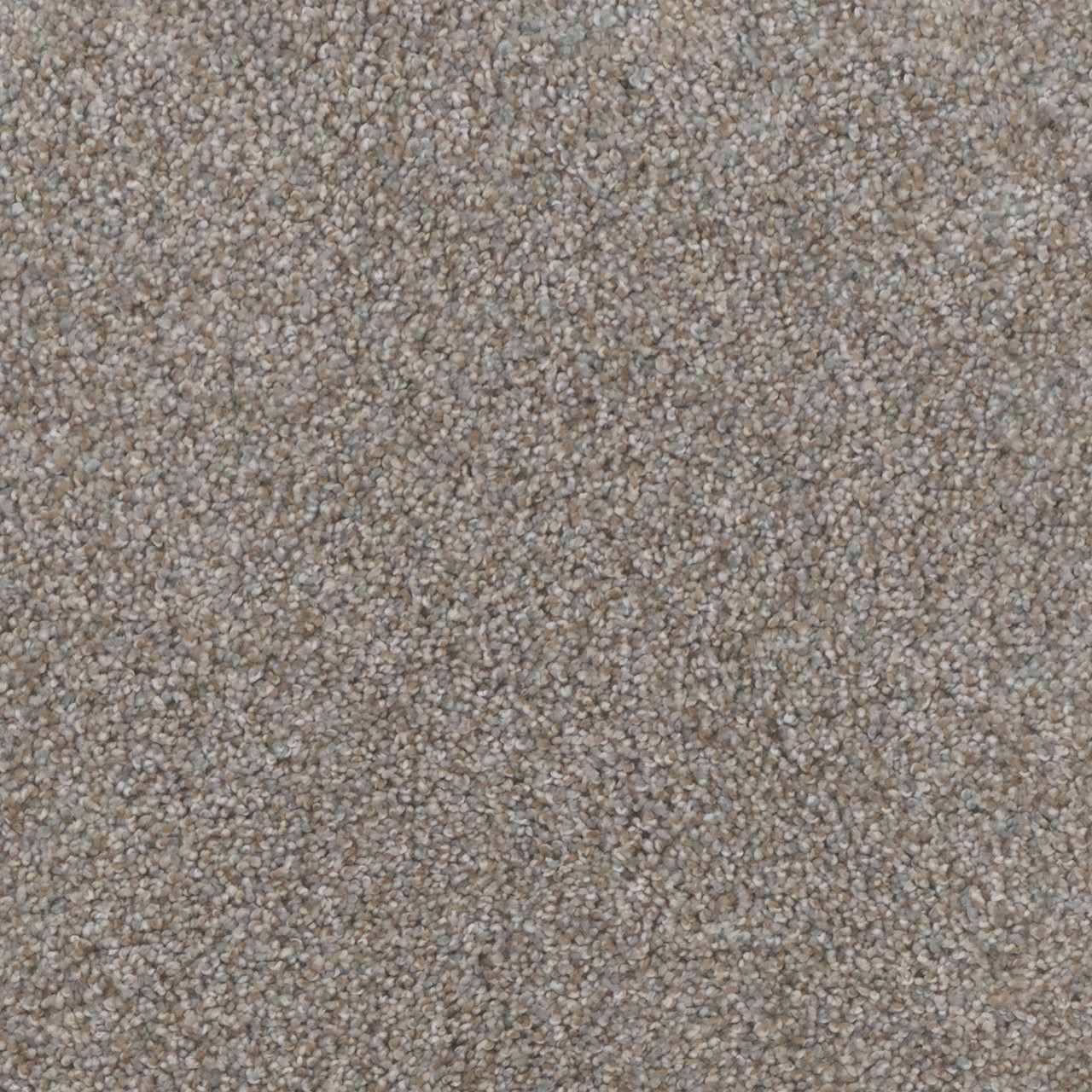 Dreamweaver Carpet Trendsetter I Crystal Clear DREAMWEAVER