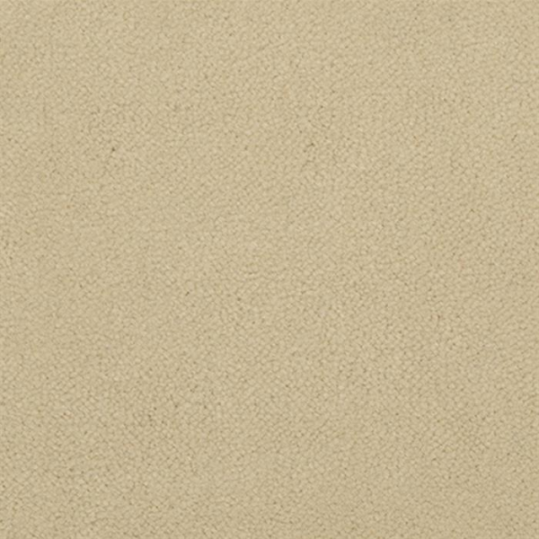 Masland Carpets Panache Cream Masland