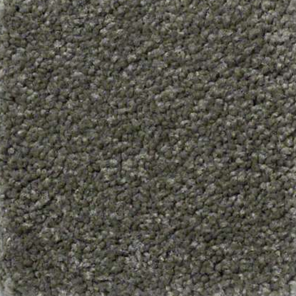 Shaw Floors Ultimate Expression 15' Alpine Fern SHAW