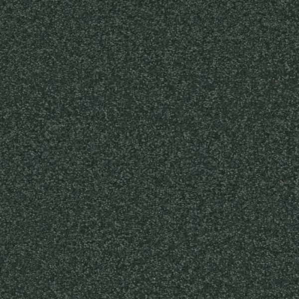 Shaw Floors Awaken Spirit II 12' Blue Spruce SHAW