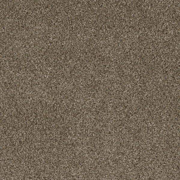 Dreamweaver Carpet Luxor I Island Spice DREAMWEAVER