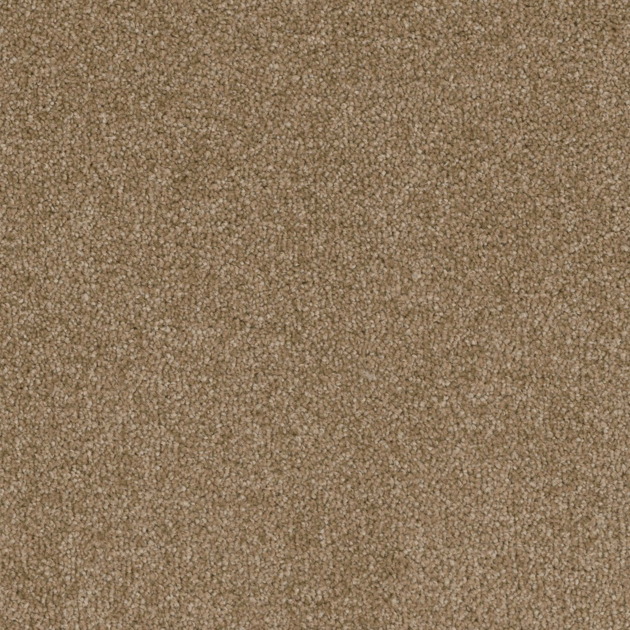 Pentz Commercial Terrain Abode ENGINEERED FLOORS