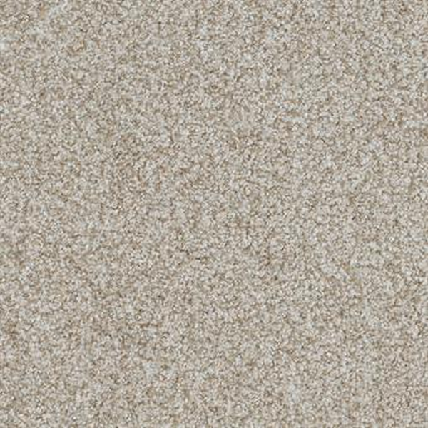 Masland Carpets Boca Raton Nonstop Masland