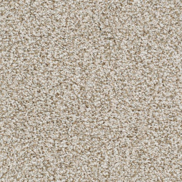 Masland Carpets St Augustine Nonstop Masland