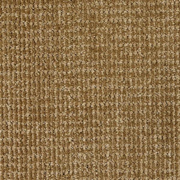 Masland Carpets Serene Touch Placid Masland