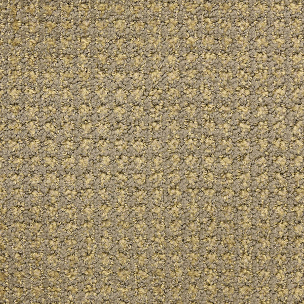 Masland Carpets Alpha Iconic Masland