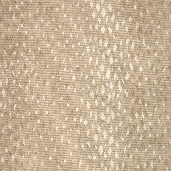 Stanton Carpet Pearlina Tan Stanton
