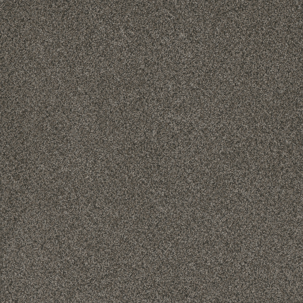 Dreamweaver Carpet Titan II River Crest DREAMWEAVER