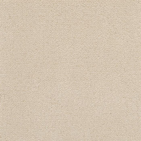 Masland Carpets Panache Pearl Masland