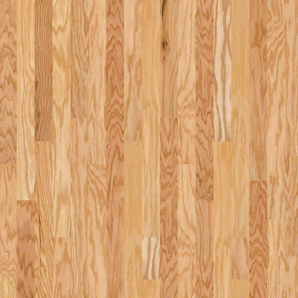 Shaw Hardwood Albright Oak 3 1/4 Rustic Natural Shaw