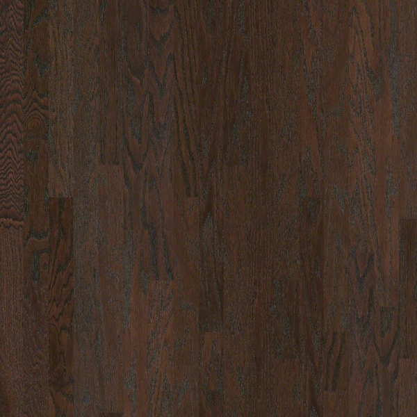 Shaw Hardwood Albright Oak 3 1/4 Coffee Bean Shaw